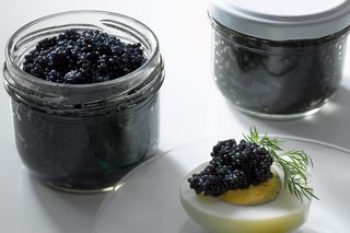Caviar en vaso